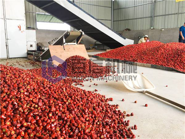 辣椒烘干現(xiàn)場展示