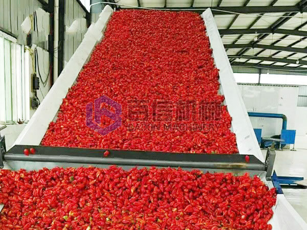 辣椒烘干現(xiàn)場展示