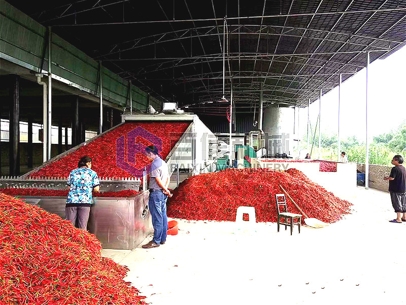 網(wǎng)帶辣椒烘干機