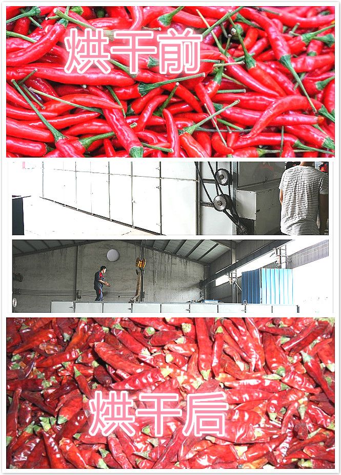 大型網帶辣椒烘干機